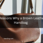 5 Reasons Why a Brown Leather Handbag Feature Image