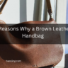 5 Reasons Why a Brown Leather Handbag Feature Image